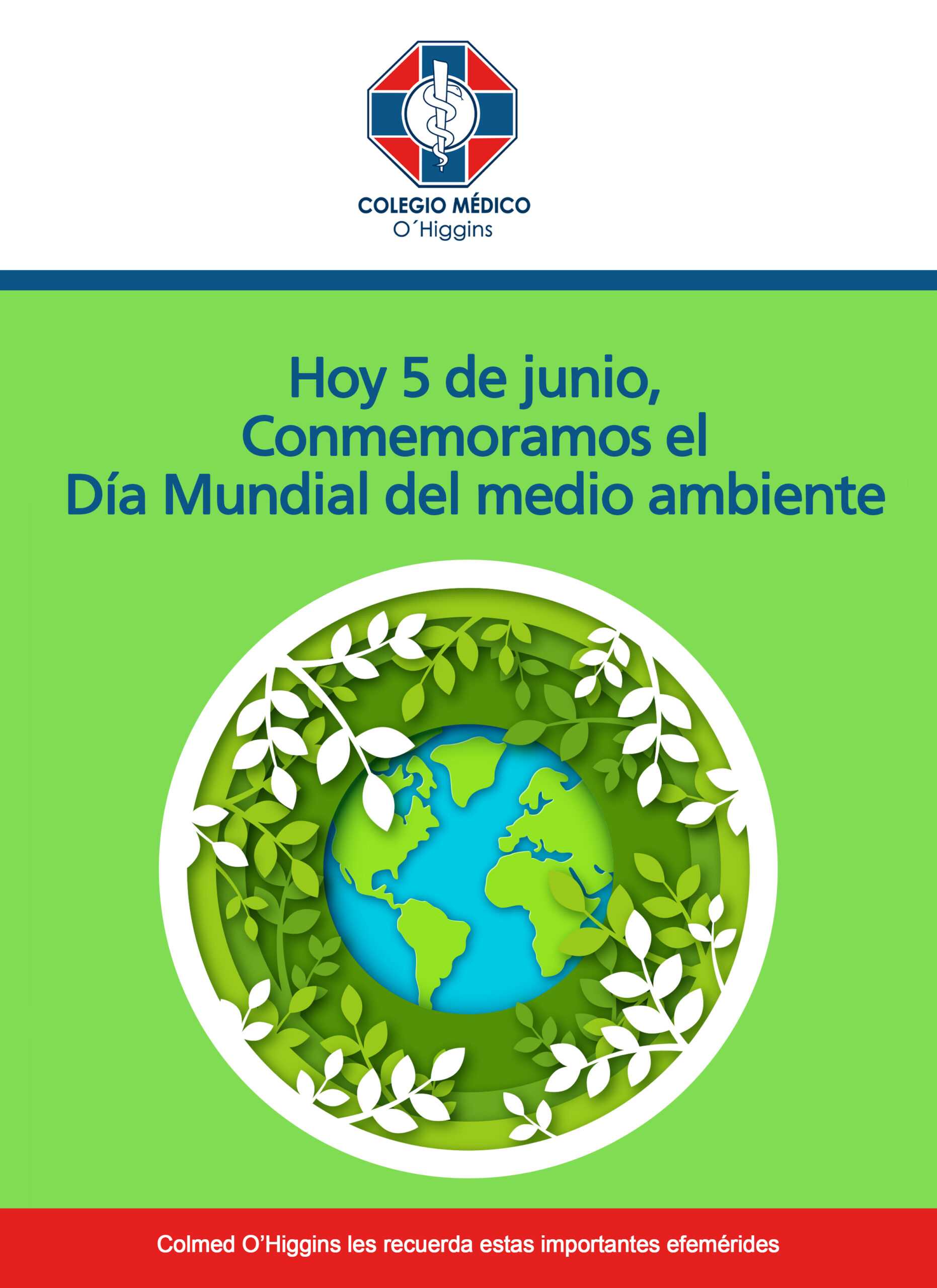 Hoy De Junio Conmemoramos El D A Mundial Del Medio Ambiente Colegio