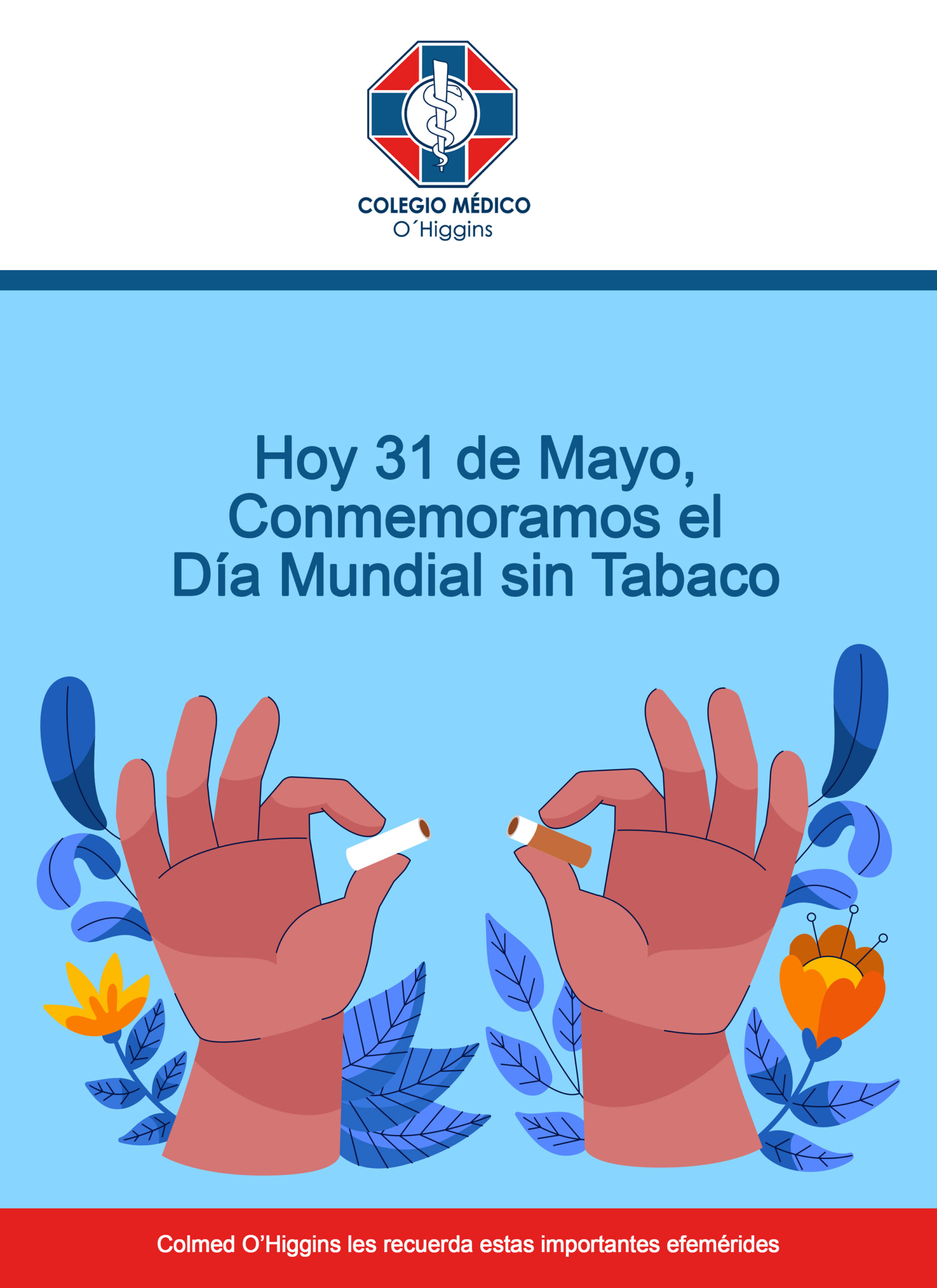 Hoy 31 De Mayo Conmemoramos El Día Mundial Sin Tabaco Colegio Médico Ohiggins 5136